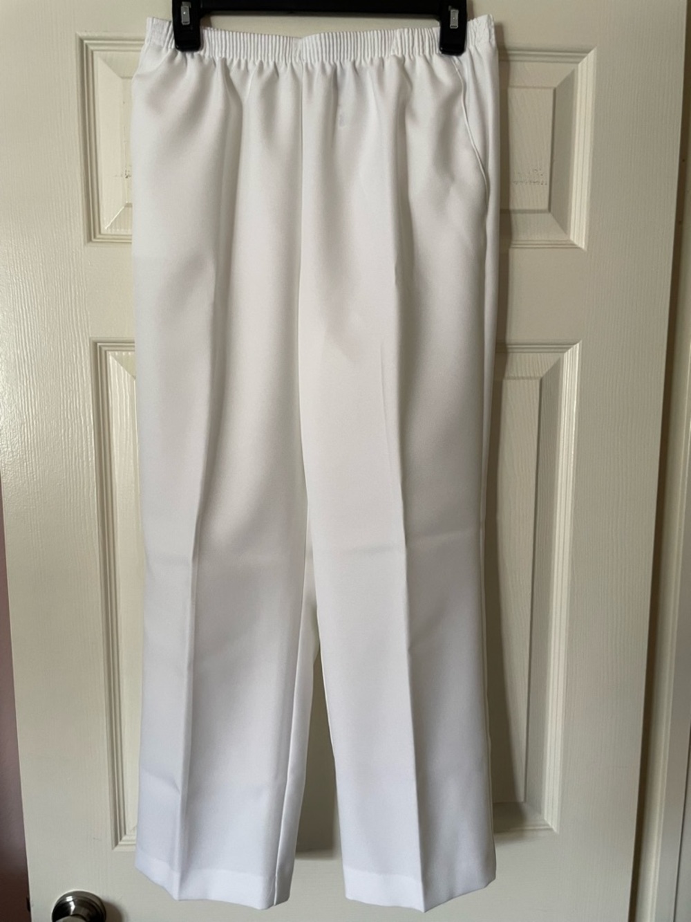 Alfred Dunner Petite Elastic Waist Pants